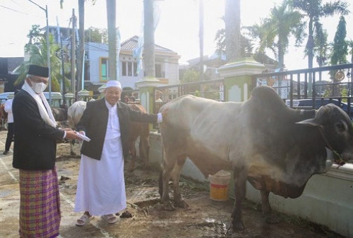 Shalat Idul Adha di Masjid Baiturrahman, Mawardi Yahya Ajak Warga Sumsel Teladani Keikhlasan Nabi Ibrahim