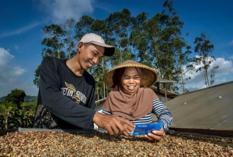 Dorong Perputaran Ekonomi Grassroot, BRI Salurkan Kredit di Segmen Mikro Sebesar Rp632,22 Triliun