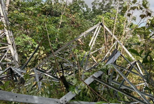 Besi Dicuri, SUTET di Kecamatan Tungkal Jaya Ambruk