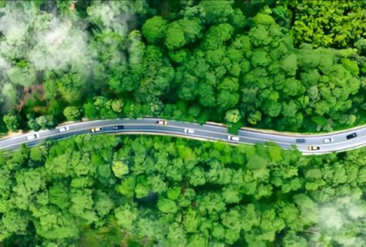 Transportasi Hijau Bukan Sekadar Opsi, Melainkan Keharusan