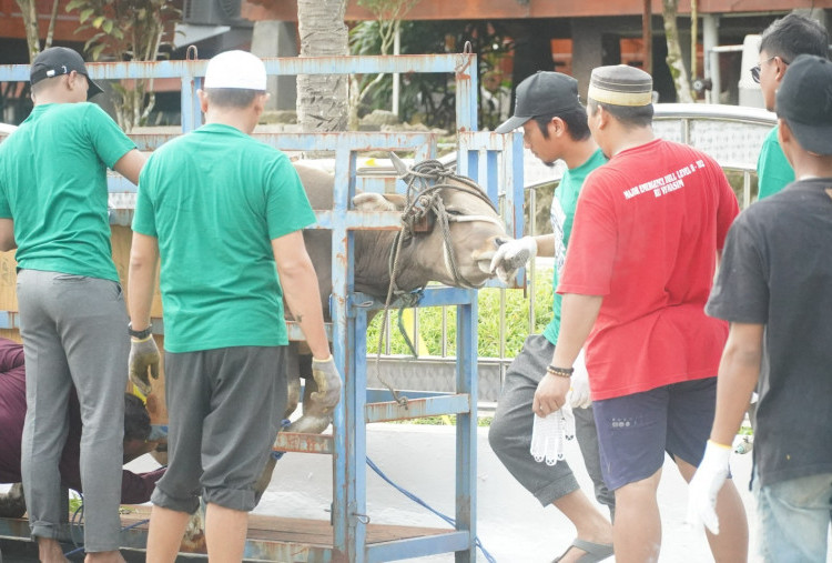 Sambut Iduladha 1446H, Pekerja Kilang Pertamina Internasional Tebar Lebih dari 600 Hewan Kurban
