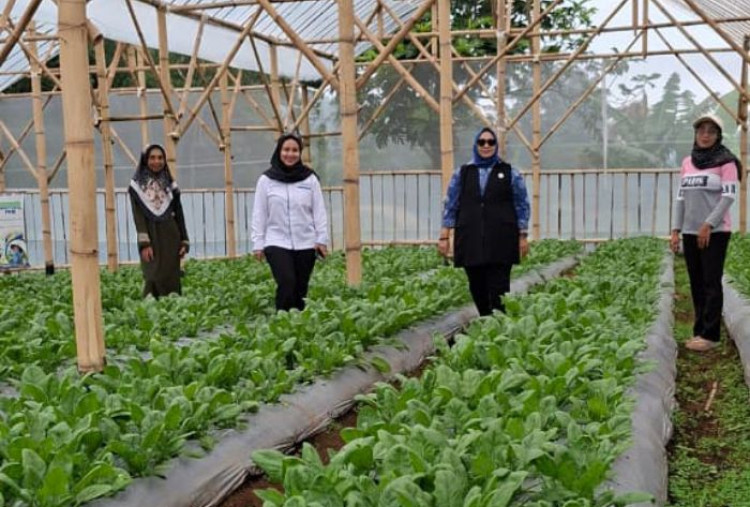 Nasabah PNM Mekaar Olah Limbah Jadi Pupuk Kascing Lewat Sinergi Ultra Mikro BRI 