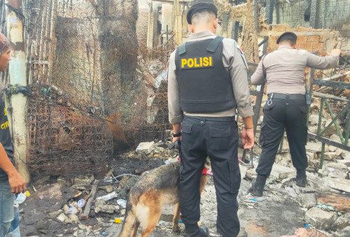 K9 PMJ Turun Langsung Cari Korban Kebakaran Depo Pertamina