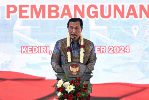 Ini Sosok yang Bikin Luhut Mau Jadi Ketua Dewan Ekonomi Nasional