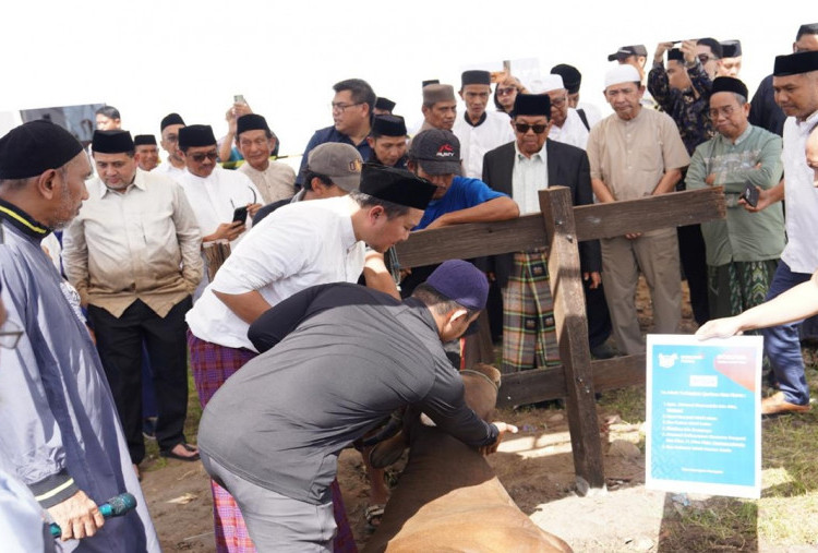 Komitmen Bosowa Peduli di Kegiatan Sosial Kemasyarakatan Lewat Festival Sinergi Kurban
