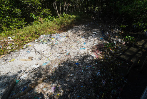 Irjen Karyoto Bawa Pasukan Sapu Bersih Tumpukan Sampah di Hutan Mangrove