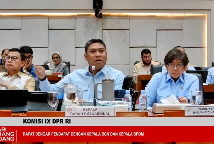 BGN Bakal Siapkan Sistem Belanja Bahan Pangan MBG, Cegah Kickback hingga Permainan Harga