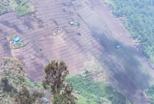 Petani Pasuruan Melawan! Ratusan Hektar Hutan TNBTS Jadi Perkebunan Ilegal
