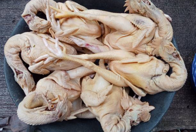 Atlet Binaraga di Malang Konsumsi Ayam Tiren, Ketahui Kandungan Nutrisinya