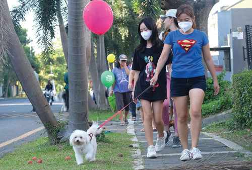 Pawaedu Dogs Walk, Cara Warga Citraland Manjakan Anjing Kesayangan