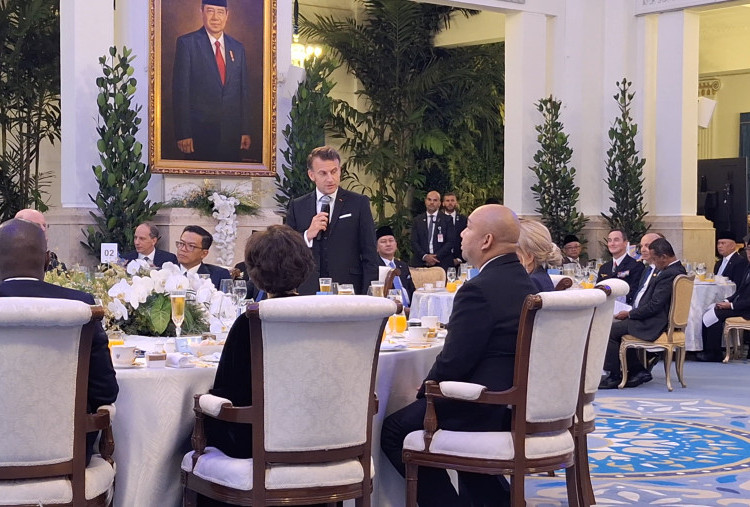 Di Hadapan Prabowo, 12.000 Km Tak Menghalangi Hati Macron: Jarak Memisahkan Ibu Kota tapi Tetap Terhubung Sejarah