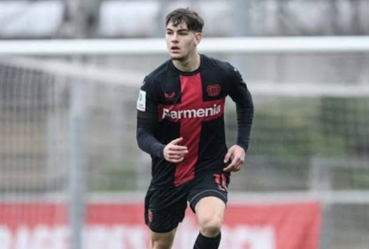 Info A1 Ada 3 Clue Segera Dinaturalisasi Bela Timnas dan Pemain Asal Helmond Sport, Suksesor Calvin Verdonk