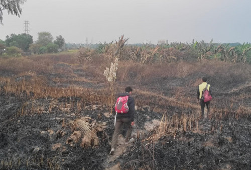 Geger Kerangka Manusia Ditemukan di Lahan Kosong, Ciri-Ciri Teridentifikasi