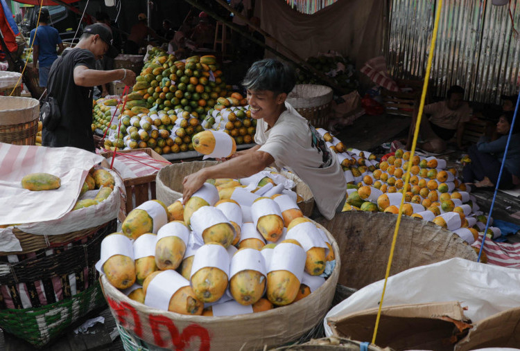 Bangkit Pascakebakaran, Pedagang Buah Pasar Induk Kramat Jati Mulai Tempati Lokasi Sementara