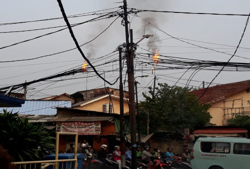 Kebakaran di Depan Kampus Widuri Palmerah Barat Jakbar Pagi Ini, Petugas Lakukan Penanganan