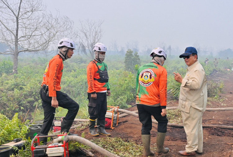 Prabowo Perintahkan Pelaku Pembakaran Hutan Ditindak Tegas