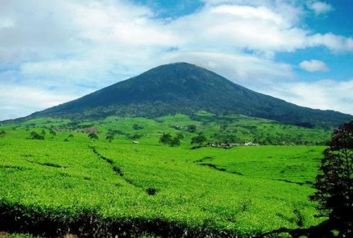 Gunung Dempo Masih Favorit Wisatawan