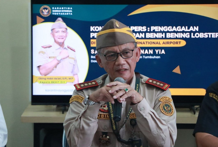 Gagalkan Penyelundupan 54 Ribu Benih Bening Lobster Senilai Rp1,3 Miliar di Yogyakarta