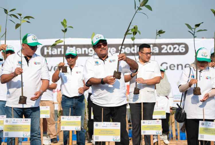 24.000 Mangrove Ditanam Serentak, Jakarta Perkuat Benteng Pesisir dari Ancaman Rob