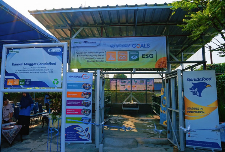 Di Depok Ada Rumah Maggot, Sampah Organik Diolah Jadi Sumber Cuan