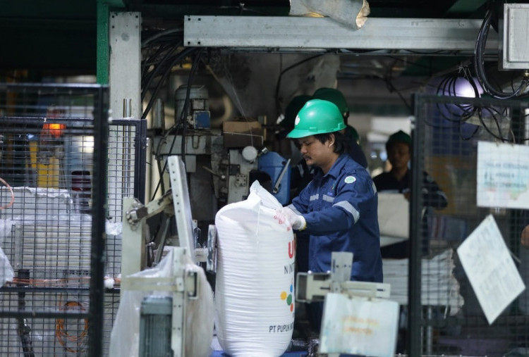 Pupuk Indonesia Dongkrak Produktivitas Padi Dairi Jadi 12,3 Ton per Hektare