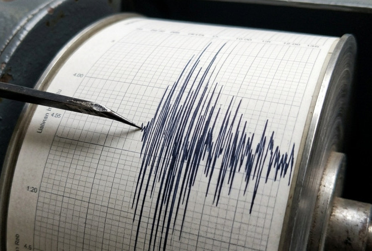 BMKG Catat Lebih dari 5.000 Gempa Susulan di Flores, Diprediksi Berlangsung Hingga 4 Minggu ke Depan. 