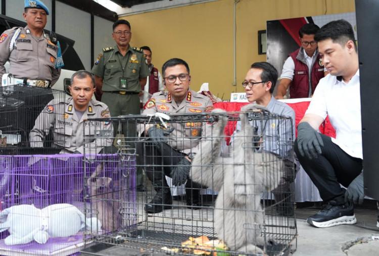 Polresta Sidoarjo Bongkar Perdagangan Satwa Dilindungi, Pria Krembung Ditangkap