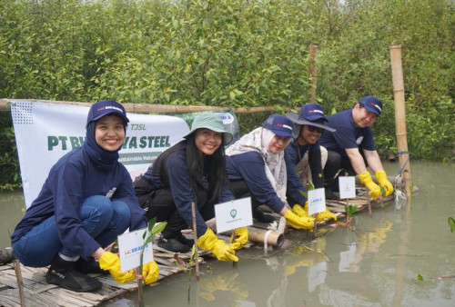 PT Bhirawa Steel Peduli Kawasan Konservasi Mangrove Romokalisari