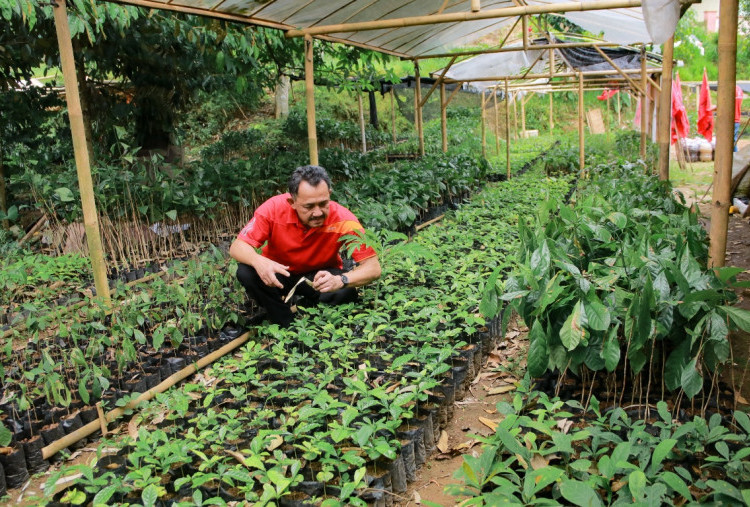 Kiprah Kader PDIP Tulungagung Rayakan Hari Jadi Partai dan HUT Megawati: Halaman Rumah Jadi Kebun Kopi