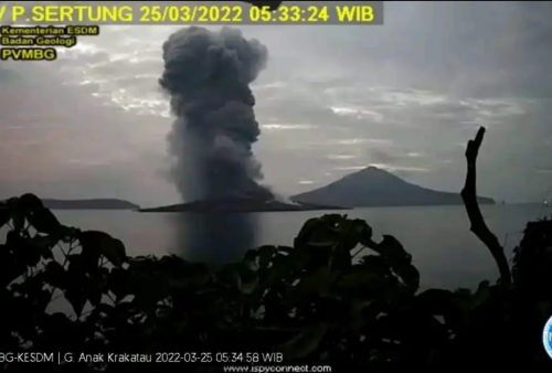 Gunung Anak Krakatau Erupsi, Semburan Abu Setinggi 2000 Meter