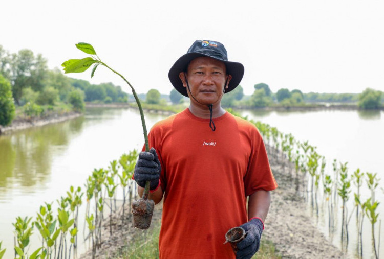 Hari Mangrove Sedunia 2025: BRI Tanam 10.000 Pohon Mangrove di Bekasi