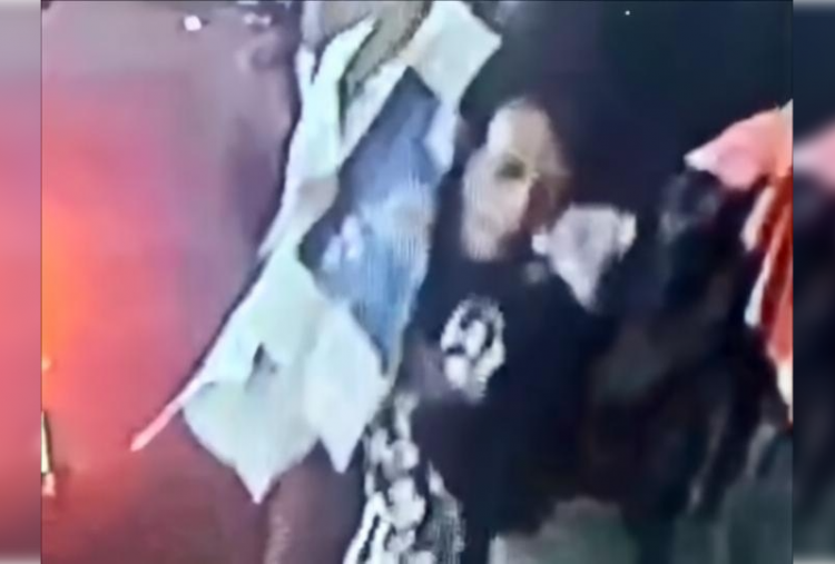 Ngakak! Dikira Panggul Mayat dalam Karung, Pengamen di Tambora Rupanya Gotong Biawak