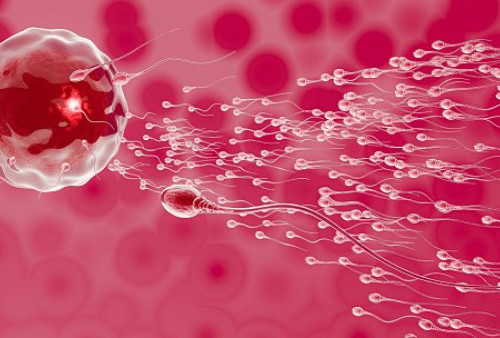 Ini Dia Jenis Warna Sperma, Mana yang Paling Sehat dan Subur?