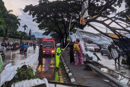 Ratusan Rumah Rusak Imbas Tornado di Bandung, Petugas BPBD Mulai Bersihkan Puing-puing