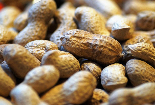 Fakta Kacang Tanah dapat Menurunkan Kadar Kolesterol Jahat, Berikut Penjelasannya!
