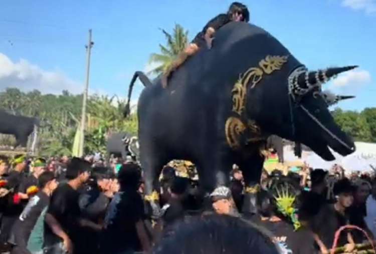 Generasi Milenial dan Masa Depan Tradisi Keboan Aliyan