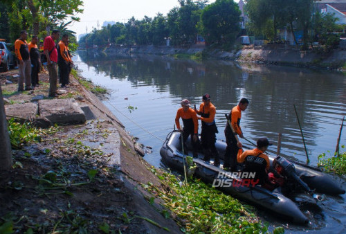 Petugas gabungan dari DLH, BNPB, Pol PP, DSDABM, membersihkan eceng gondok yang tumbuh subur di sepanjang sungai Kalisari Damen, Kecamatan Mulyorejo, Surabaya, Jawa Timur, Jumat, 27 Oktober 2023. Aksi bersih sungai dari eceng gondok tersebut dilakukan oleh tim gabungan Badan Penanggulangan Bencana Daerah (BPBD), Dinas Sumber Daya Air Bina Marga (DSDABM), Dinas Lingkungan Hidup (DLH), Satpol PP (PANCANAKA), dan Relawan hingga warga sekitar tersebut dalam rangka memperingati Bulan Pengurangan Risiko Bencana yang jatuh pada 13 Oktober. Pembersihan sungai dari eceng gondok ini utamanya bertujuan untuk mencegah terjadinya banjir pada musim hujan yang akan datang. (Alhamdy Denny Candra/Harian Disway)