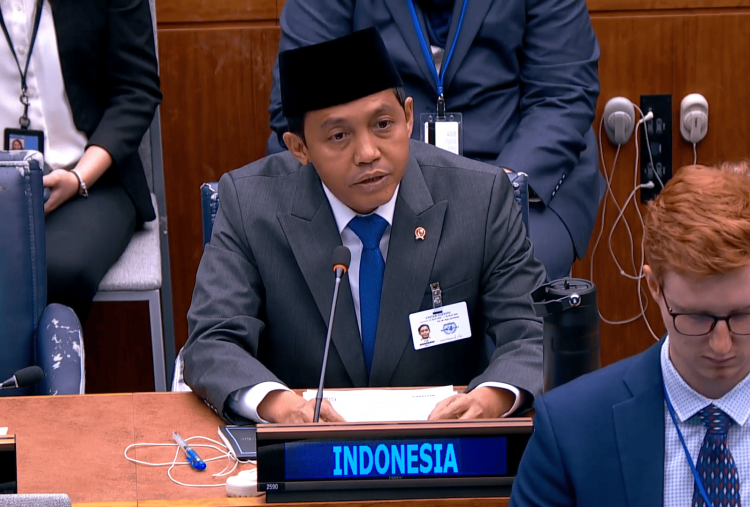 Di Forum PBB, Pemerintah Klaim Kebakaran Hutan Indonesia Turun 86 Persen dalam 10 Tahun