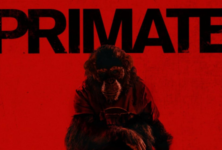 Sinopsis Primate, Ketika Simpanse Kesayangan Jadi Predator Haus Darah