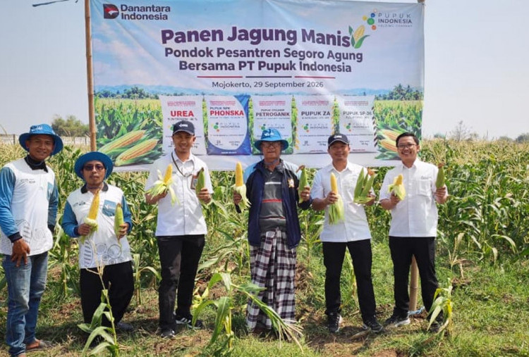 Pupuk Indonesia Panen Jagung Manis di Lahan Ponpes Segoro Agung