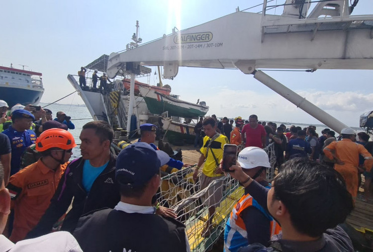 Evakuasi 238 Korban KMP Mutiara Sentosa II Rampung, Kemenhub Panggil Operator untuk Audit Keselamatan