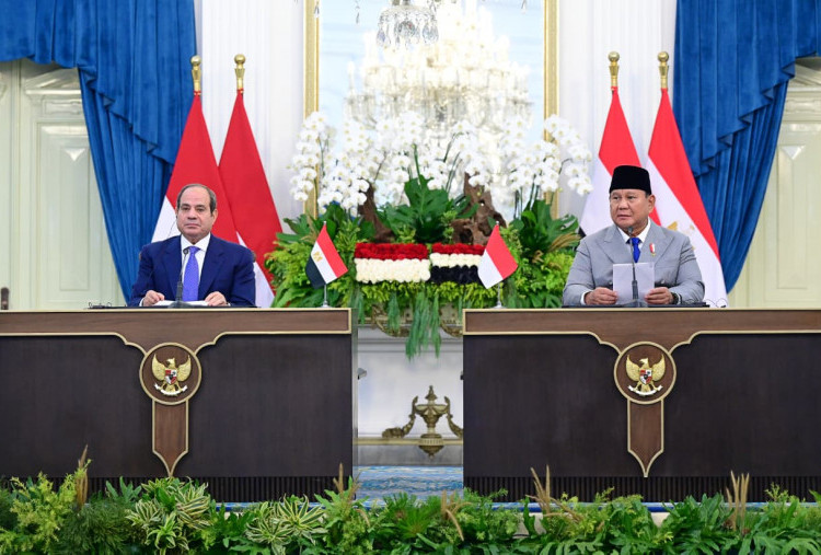 Mesir Tawarkan Tambahan Beasiswa Kedokteran, Teknik, dan Sains untuk Mahasiswa Indonesia