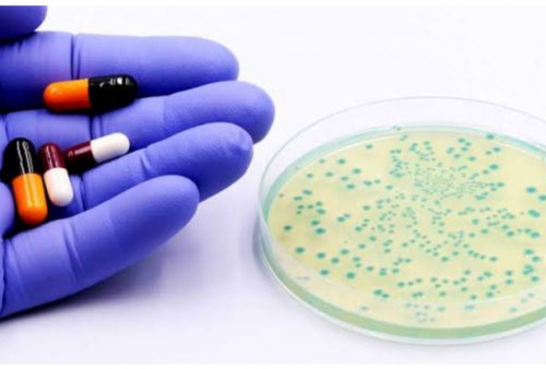 Waspada Infeksi Bakteri Staphylococcus Aureus akibat Resisten Antibiotik