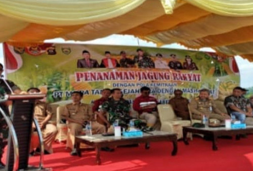 Danrem 044/Gapo Tanam Jagung di Desa Penantian dan Lubuk Baru Kabupaten OKU