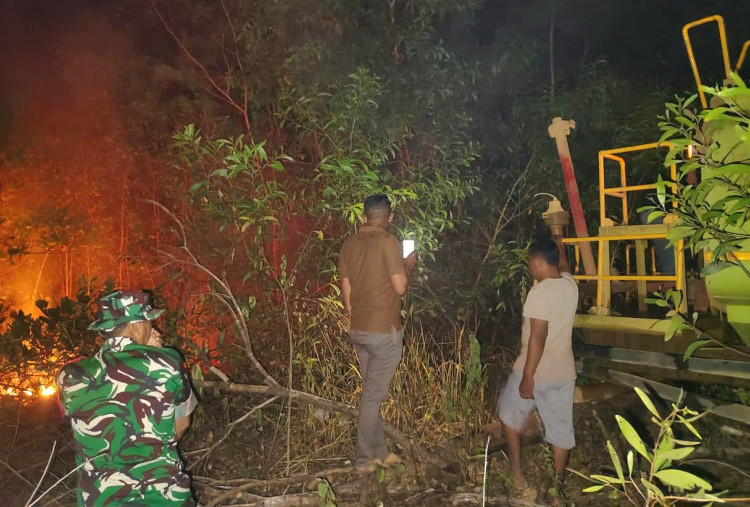 Antisipasi Karhutla Meluas, BNPB Perkuat Koordinasi dan Kesiapsiagaan