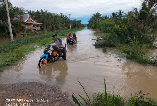 Wilayah Kabupaten Mamuju Tengah Sulbar Terendam Banjir, 300 Hektar Lahan Pertanian Ikut Terdampak