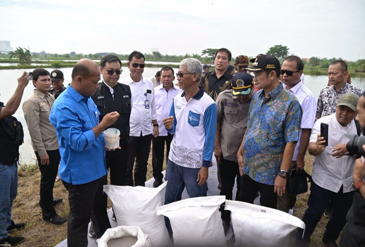 Pupuk Indonesia Pastikan Pupuk Bersubsidi Siap untuk Pembudidaya Ikan