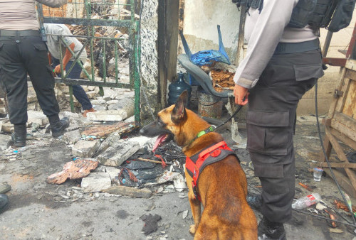 Polisi Terjunkan Anjing Pelacak Cari Korban Kebakaran Depo Pertamina Plumpang