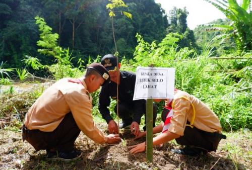 Peringati HLH, Ribuan Bibit Pohon Ditanam di Lubuk Selo Lahat   