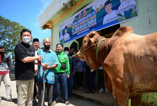 Herman Deru Salurkan Sapi Kurban ke Sejumlah Masjid